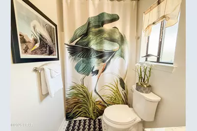 6422 Cape San Blas Road, Port Saint Joe, FL 32456 - Photo 55