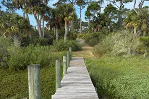 6422 Cape San Blas Rd, Port Saint Joe, FL 32456 - Photo 73