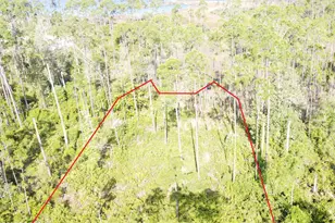 914 Watermark Wy, Panama City, FL 32404 - Photo 1