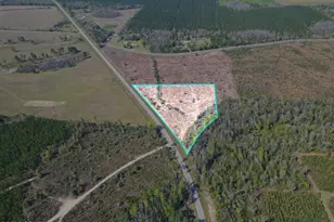 Tbd SW Lot #3 SW County Road 275, Blountstown, FL 32424 - Photo 1