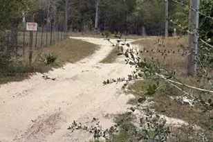 Na Pecan Shadows Dr, Youngstown, FL 32466 - Photo 7