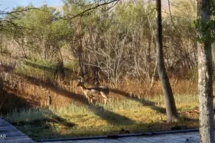 396 Silver, Marianna, FL 32448 - Photo 47