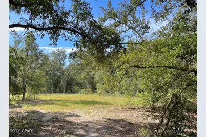 3561 Elm Road, Marianna, FL 32448 - Photo 3