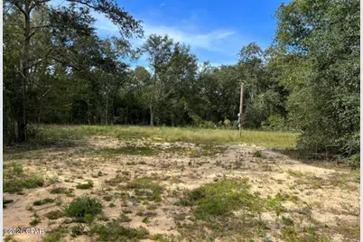 3561 Elm Road, Marianna, FL 32448 - Photo 9