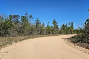 Lot 3 Bolick Rd, Chipley, FL 32428 - Photo 1