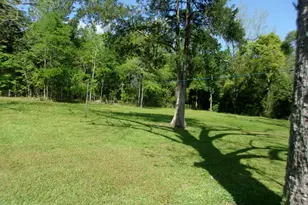 402 Hatcher Dr, Bonifay, FL 32425 - Photo 29