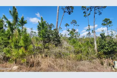2727 Sting Ray Road, Panama City, FL 32404 - Photo 3