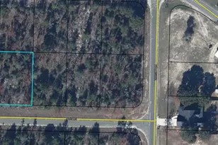 302-15 Otis Ln, Chipley, FL 32428 - Photo 1