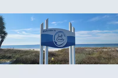 123 White Blossom Trail, Port Saint Joe, FL 32456 - Photo 21