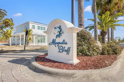 123 White Blossom Trail, Port Saint Joe, FL 32456 - Photo 5