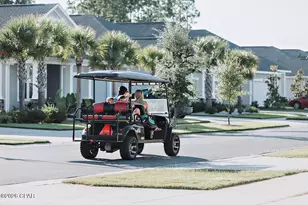 717 Crystal Bayou Blvd, Panama City Beach, FL 32407 - Photo 15