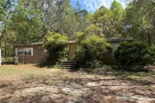 460 Marten Ln, Holt, FL 32564 - Photo 13