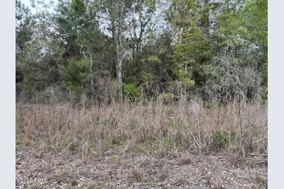 X NW Cook Road, Clarksville, FL 32430 - Photo 3