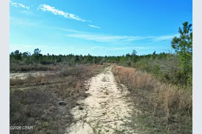 Xx Cook/Cain Road, Clarksville, FL 32430 - Photo 5