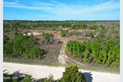 Xx Cook/Cain Road, Clarksville, FL 32430 - Photo 1
