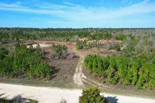 Xx Cook/Cain Rd, Clarksville, FL 32430 - Photo 1