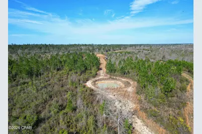 Xx Cook/Cain Road, Clarksville, FL 32430 - Photo 7