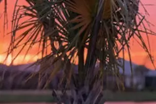 8501 Lost Shaker Wy, Panama City Beach, FL 32413 - Photo 27