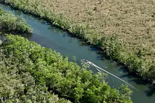 376 Stillwater Rd, Freeport, FL 32439 - Photo 31