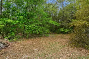 2694 Marian Dr, Bonifay, FL 32425 - Photo 77