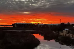 1516 S Kimbrel Ave, Panama City, FL 32404 - Photo 33