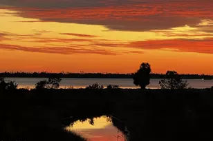 1516 S Kimbrel Ave, Panama City, FL 32404 - Photo 31