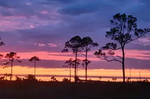 2629 State Road 30A, Port Saint Joe, FL 32456 - Photo 35