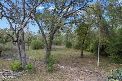 4006 Wood Duck Trail, Chipley, FL 32428 - Photo 5