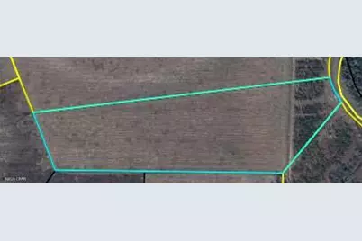 [Address not provided], Kinard, FL 32449 - Photo 5