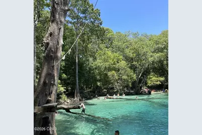 [Address not provided], Kinard, FL 32449 - Photo 9