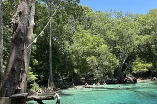 [Address not provided], Kinard, FL 32449 - Photo 9