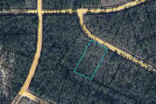 00 Fremont Ave, Alford, FL 32420 - Photo 1