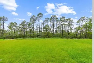 1073 Backwater Rd, Port Saint Joe, FL 32456 - Photo 5