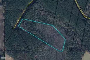 0 Reedy Creek Crossing, Westville, FL 32464 - Photo 1
