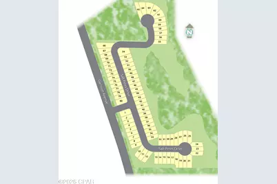 364 Coastal Canopy Lane, Port Saint Joe, FL 32456 - Photo 3