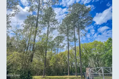 0004 Cypress Crossing Road, Vernon, FL 32462 - Photo 7