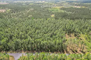 0004 Cypress Crossing Rd, Vernon, FL 32462 - Photo 1