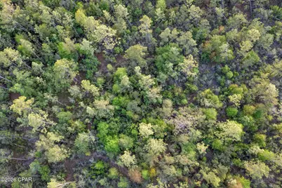 Xxx Wisteria Lane, Chipley, FL 32428 - Photo 19
