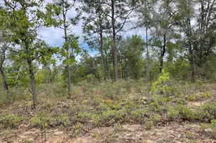 Lot 10 Aquarius Dr, Chipley, FL 32428 - Photo 1