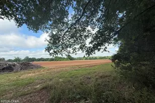 3171 Hwy 73, Marianna, FL 32446 - Photo 9