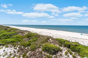 195 Swirly Sun Dr, Port Saint Joe, FL 32456 - Photo 41