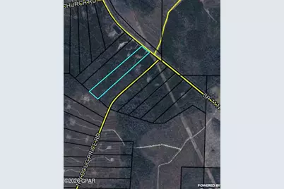 20460 Florida 71, Blountstown, FL 32424 - Photo 7