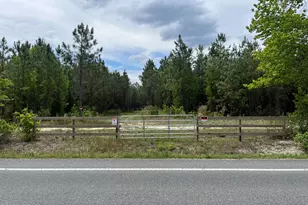 20460 Florida 71, Blountstown, FL 32424 - Photo 1