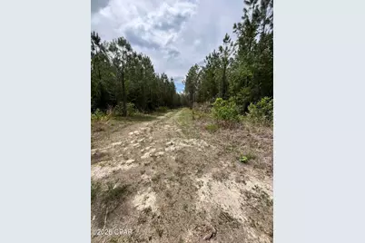 20460 Florida 71, Blountstown, FL 32424 - Photo 3