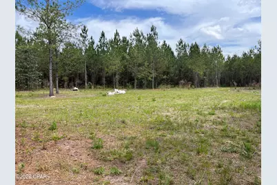 20460 Florida 71, Blountstown, FL 32424 - Photo 5