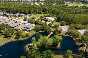 377 Cocobolo Dr, Santa Rosa Beach, FL 32459 - Photo 65