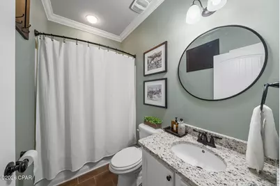 377 Cocobolo Drive, Santa Rosa Beach, FL 32459 - Photo 33