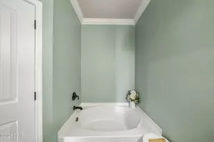 377 Cocobolo Dr, Santa Rosa Beach, FL 32459 - Photo 41