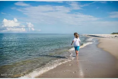 373 Rhonda Del Sol Circle, Port Saint Joe, FL 32456 - Photo 63