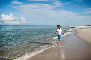 373 Rhonda del Sol Cir, Port Saint Joe, FL 32456 - Photo 63